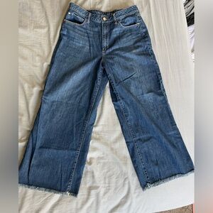 Cropped raw hem wide leg articles of society jeans-Lyla high rise wide leg Kirby